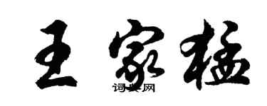 胡问遂王家猛行书个性签名怎么写
