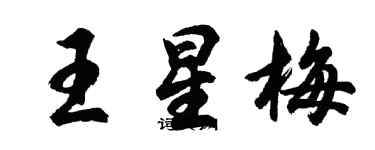 胡问遂王星梅行书个性签名怎么写