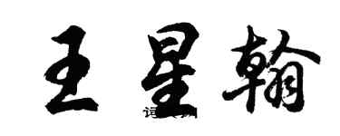 胡问遂王星翰行书个性签名怎么写