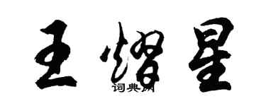 胡问遂王熠星行书个性签名怎么写