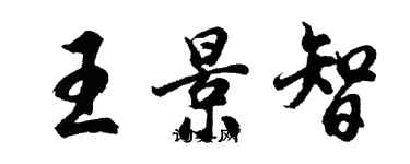 胡问遂王景智行书个性签名怎么写