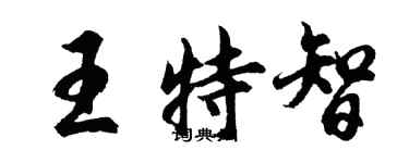 胡问遂王特智行书个性签名怎么写