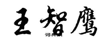 胡问遂王智鹰行书个性签名怎么写