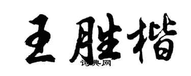 胡问遂王胜楷行书个性签名怎么写