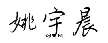 王正良姚宇晨行书个性签名怎么写