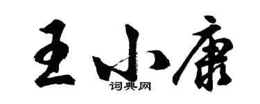 胡问遂王小康行书个性签名怎么写