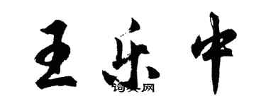 胡问遂王乐中行书个性签名怎么写