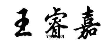胡问遂王睿嘉行书个性签名怎么写