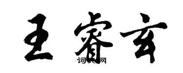 胡问遂王睿玄行书个性签名怎么写