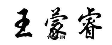 胡问遂王蒙睿行书个性签名怎么写