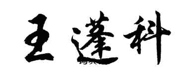 胡问遂王蓬科行书个性签名怎么写