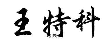 胡问遂王特科行书个性签名怎么写