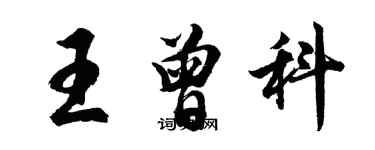 胡问遂王曾科行书个性签名怎么写