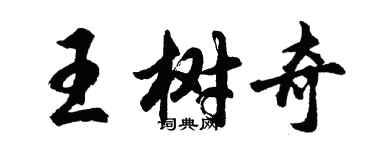 胡问遂王树奇行书个性签名怎么写