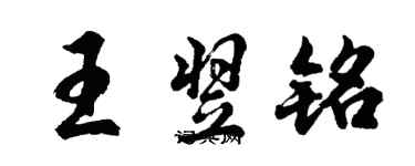 胡问遂王翌铭行书个性签名怎么写