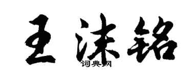 胡问遂王沫铭行书个性签名怎么写