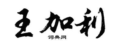 胡问遂王加利行书个性签名怎么写