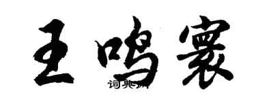 胡问遂王鸣寰行书个性签名怎么写