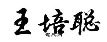 胡问遂王培聪行书个性签名怎么写