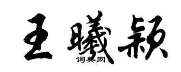 胡问遂王曦颖行书个性签名怎么写