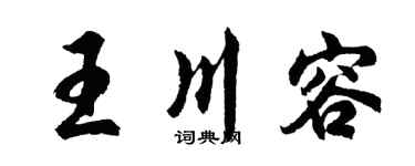 胡问遂王川容行书个性签名怎么写