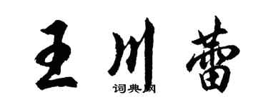 胡问遂王川蕾行书个性签名怎么写