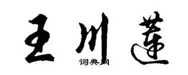 胡问遂王川莲行书个性签名怎么写