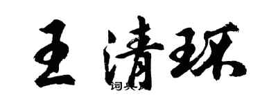 胡问遂王清环行书个性签名怎么写