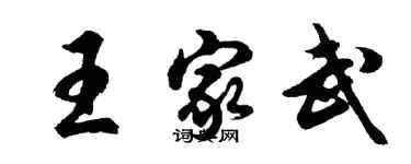 胡问遂王家武行书个性签名怎么写