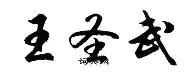 胡问遂王圣武行书个性签名怎么写