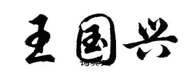 胡问遂王国兴行书个性签名怎么写