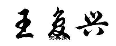 胡问遂王复兴行书个性签名怎么写