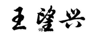 胡问遂王望兴行书个性签名怎么写