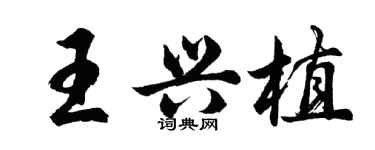 胡问遂王兴植行书个性签名怎么写