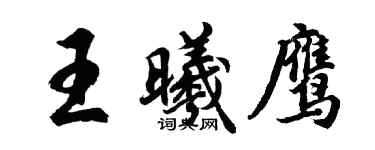 胡问遂王曦鹰行书个性签名怎么写