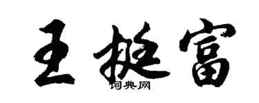 胡问遂王挺富行书个性签名怎么写