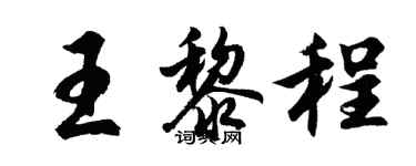胡问遂王黎程行书个性签名怎么写