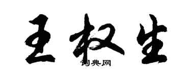 胡问遂王权生行书个性签名怎么写