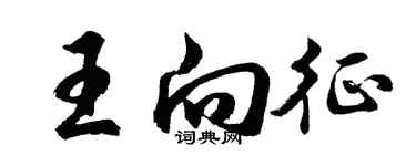 胡问遂王向征行书个性签名怎么写