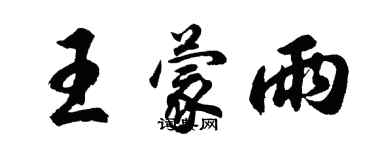 胡问遂王蒙雨行书个性签名怎么写
