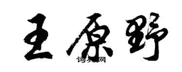 胡问遂王原野行书个性签名怎么写