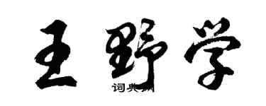 胡问遂王野学行书个性签名怎么写