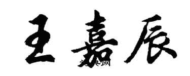 胡问遂王嘉辰行书个性签名怎么写