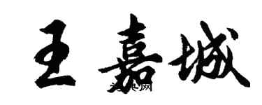 胡问遂王嘉城行书个性签名怎么写