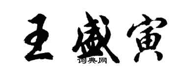 胡问遂王盛寅行书个性签名怎么写