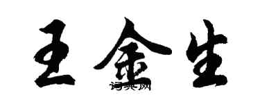 胡问遂王金生行书个性签名怎么写