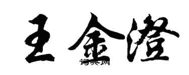 胡问遂王金澄行书个性签名怎么写
