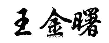 胡问遂王金曙行书个性签名怎么写