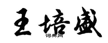 胡问遂王培盛行书个性签名怎么写
