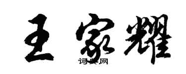 胡问遂王家耀行书个性签名怎么写